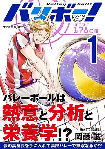 Cover image for Volleyball!