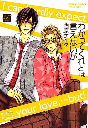 Cover image for Wakattekure towa Ienai ga