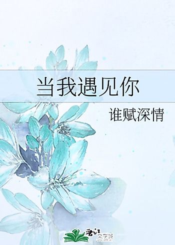 Cover image for When I Met You
