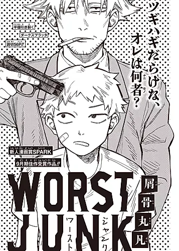 Cover image for WORST JUNK