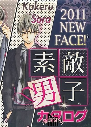 Cover image for 2011 New Face! Suteki Danshi Catalogue