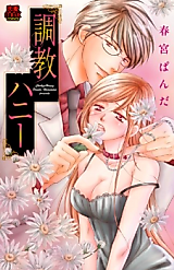 Cover image for Choukyou Honey