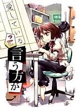 Cover image for Touhou dj - Saying I Love You is...