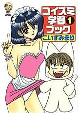Cover image for Koizumi Gakushuu Book