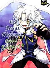 Cover image for Dog Days dj - Gaul Denka no Gohoubi