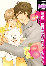 Cover image for Kimi ni Nidome no Koi o Suru