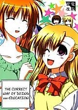 Cover image for Mahou Shoujo Lyrical Nanoha dj - The Correct Way of Doing xxx-Education