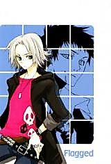 Cover image for Katekyo Hitman Reborn! dj - Flagged