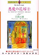 Cover image for The Devil's Lady