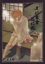 Cover image for Saiyuki dj - Tsuki ni Murakumo Hana ni Kaze