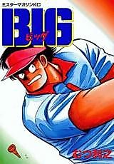 Cover image for Big