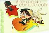 Cover image for Tiger & Bunny dj - After a Storm Comes a Calm