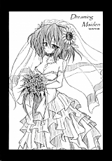Cover image for Touhou dj - Dreaming Maiden