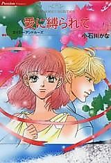Cover image for The Nurse's Secret Son