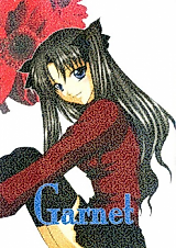 Cover image for Fate/Stay Night dj - Garnet