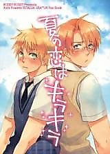 Cover image for Hetalia dj - Natsu no Koi wa Kirakira
