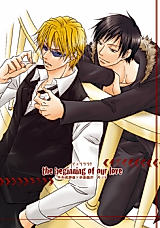 Cover image for Durarara!! dj - The Beginning of Our Love