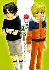 Cover image for Naruto dj - Spring Labyrinth