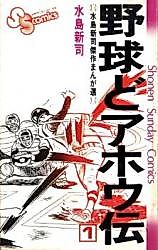 Cover image for Baseball's Legend of the Total Idiot
