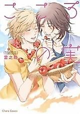 Cover image for Kokoro no Mi