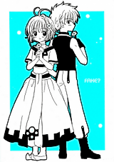 Cover image for Tsubasa: Reservoir Chronicle dj - Fake?