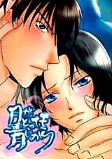 Cover image for Tennis no Ouji-sama dj - Tsuki ga Tottemo Aoi Kara
