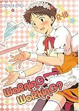 Cover image for Shin Seiki Evangelion dj - Warning Working?