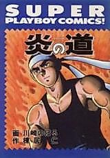 Cover image for Path of Fire