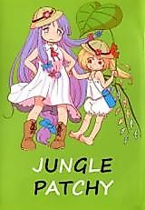 Cover image for Touhou Project dj - Jungle Pacche-san
