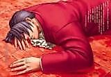 Cover image for Phoenix Wright dj - Kaseki no Mori