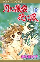 Cover image for Tsuki ni Murakumo Hana ni Kaze