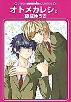 Cover image for Maiden Boyfriend