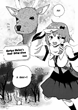 Cover image for Touhou Project dj - Moriya Shrine's Deer Offal Stew