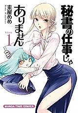 Cover image for It is not the secretary's work