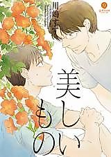 Cover image for Utsukushii Mono