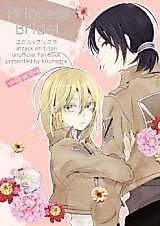 Cover image for Attack on Titan - Princess Bride! (Doujinshi)