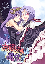 Cover image for The Princess is a Witch!
