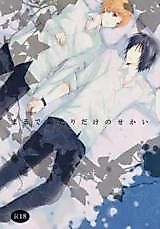 Cover image for Natsume Yuujinchou dj - Maru de Futari Dake no Sekai