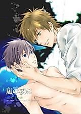 Cover image for Free! dj - Arashi no Yoru ni