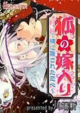 Cover image for The Fox's Tail: Love Hidden by a Fundoshi