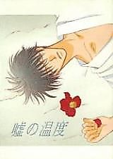 Cover image for Warmth of a Lie