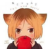 Cover image for Haikyu!! dj - Cat And Apple