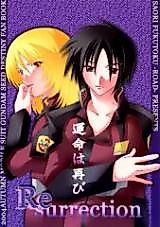 Cover image for Gundam Seed Destiny dj - Ressurection