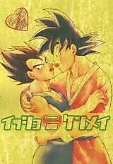 Cover image for Dragon Ball Z dj - Striving Together