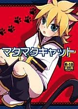 Cover image for Vocaloid dj - Matamata Cat