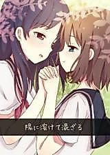 Cover image for Saki dj - Youni Tokete Mazaru