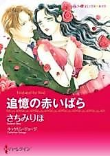 Cover image for Husband for Real