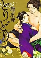 Cover image for Toridori