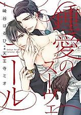 Cover image for Beloved Souvenir