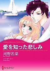 Cover image for Hidden Mistress, Public Wife